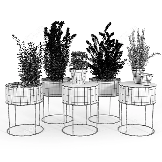 Round Plant Box: Versatile & Beautiful 3D model image 5