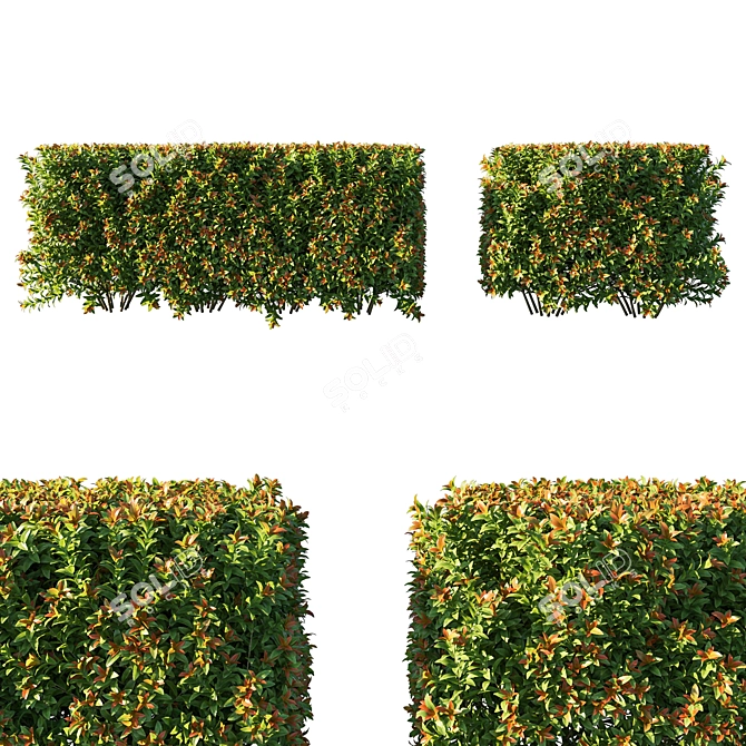 EasyCare Spiraea Hedge Bush 3D model image 1