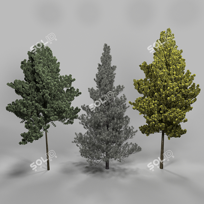 Lifelike Arboreal Collection 3D model image 1