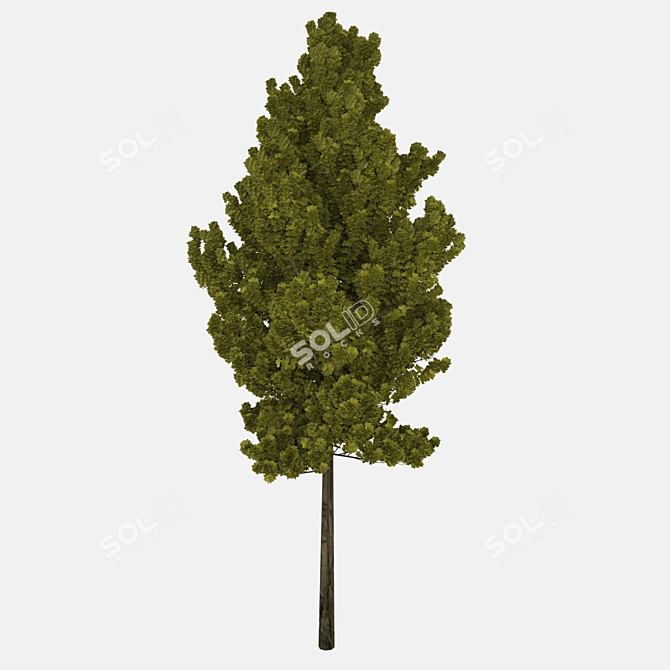 Lifelike Arboreal Collection 3D model image 5