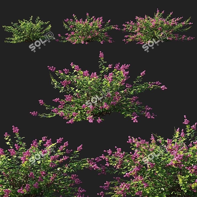Symphoricarpos Berry Bush: Vibrant and Versatile Foliage 3D model image 1