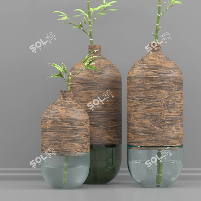Natural Wood & Glass Vase Set 3D model image 2