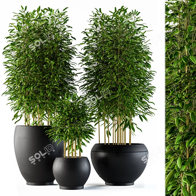 Zen Bamboo Garden Set 3D model image 1