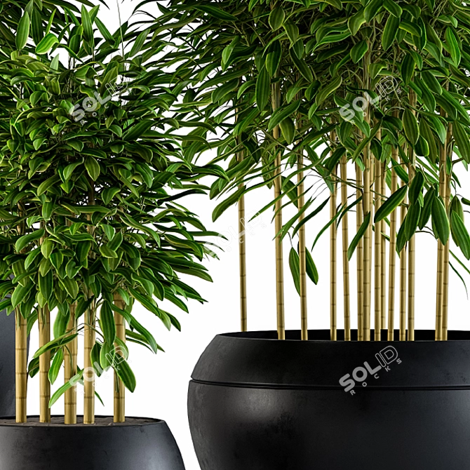 Zen Bamboo Garden Set 3D model image 3