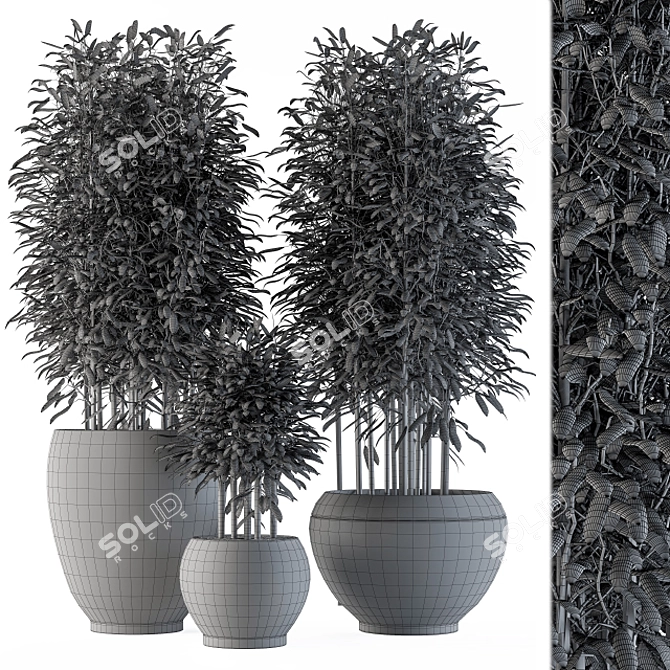 Zen Bamboo Garden Set 3D model image 4