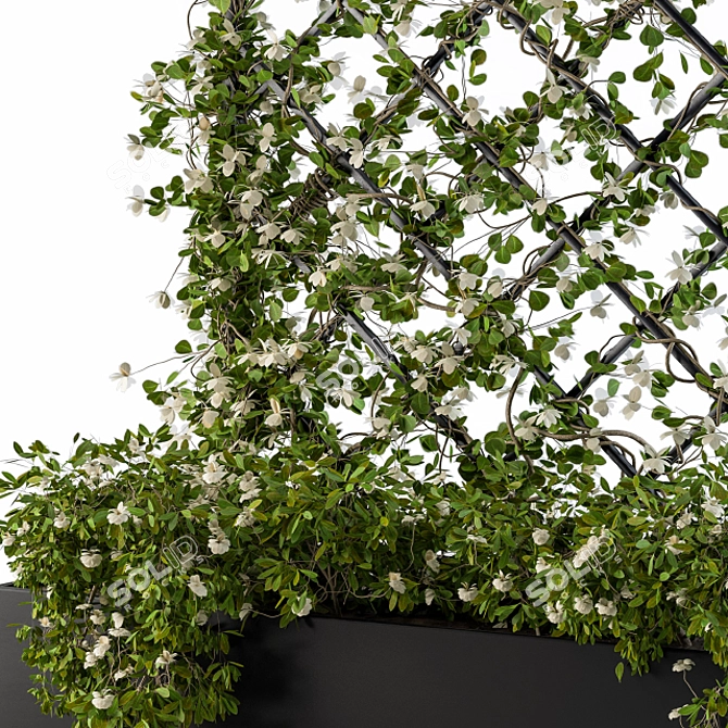 Ivy Blossom Box: Beautiful Greenery 3D model image 3