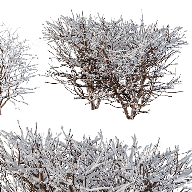  Winter Wonderland Snow Bush Set 3D model image 1