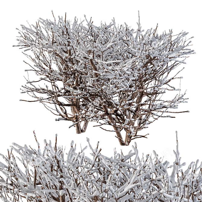  Winter Wonderland Snow Bush Set 3D model image 2