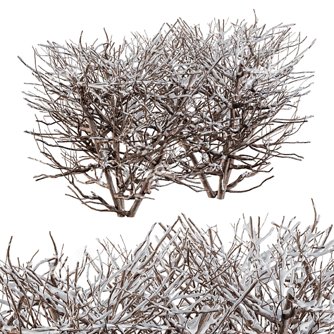  Winter Wonderland Snow Bush Set 3D model image 3