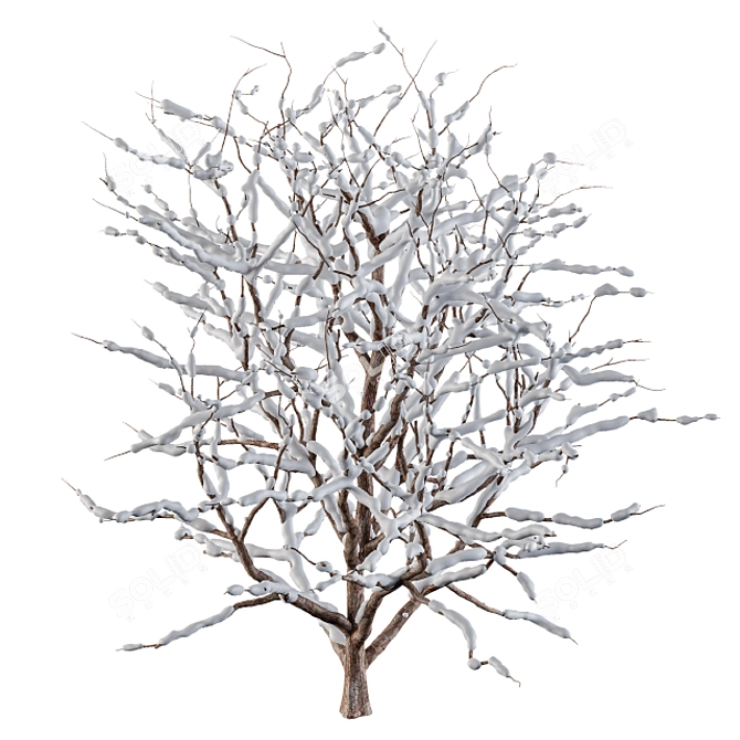  Winter Wonderland Snow Bush Set 3D model image 4