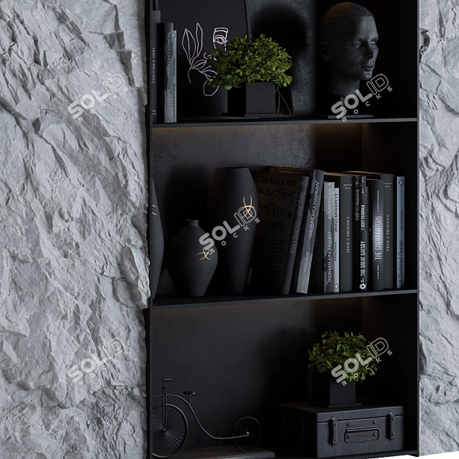 Rock Panel Black Display Cabinet 3D model image 2