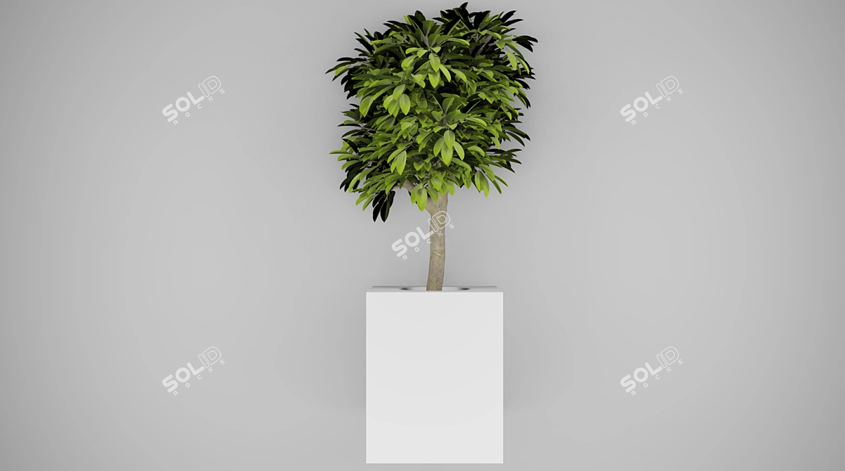 Modern Indoor Tree: Height 700mm 3D model image 1