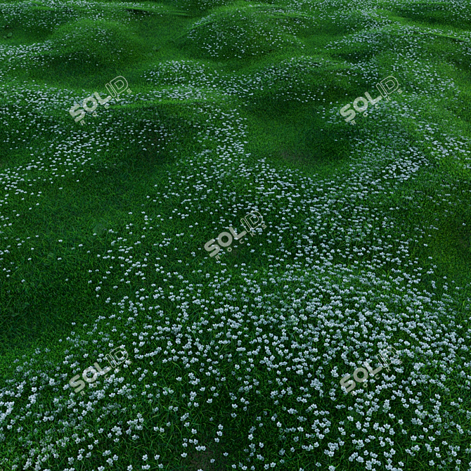 Bryozo Lawn: Corona Scatter-Enabled 20x20m Meadow 3D model image 3