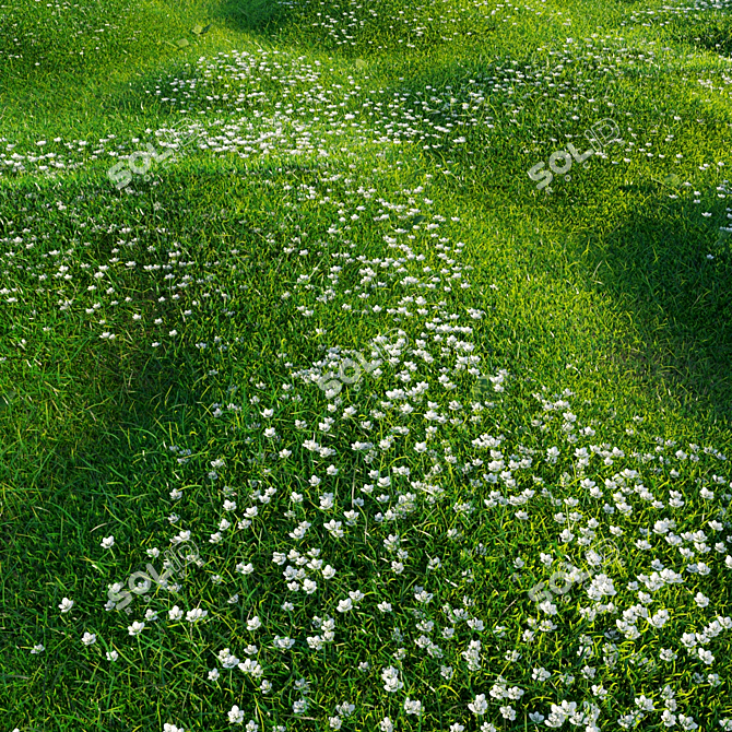 Bryozo Lawn: Corona Scatter-Enabled 20x20m Meadow 3D model image 4
