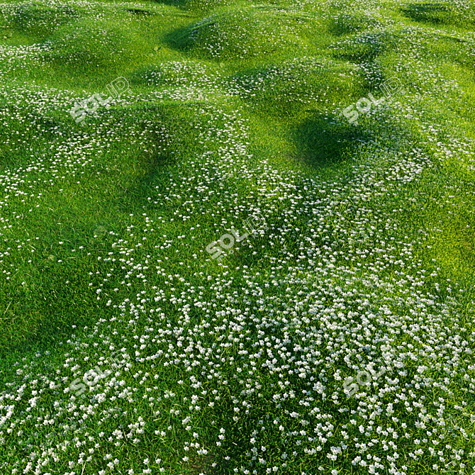 Bryozo Lawn: Corona Scatter-Enabled 20x20m Meadow 3D model image 5