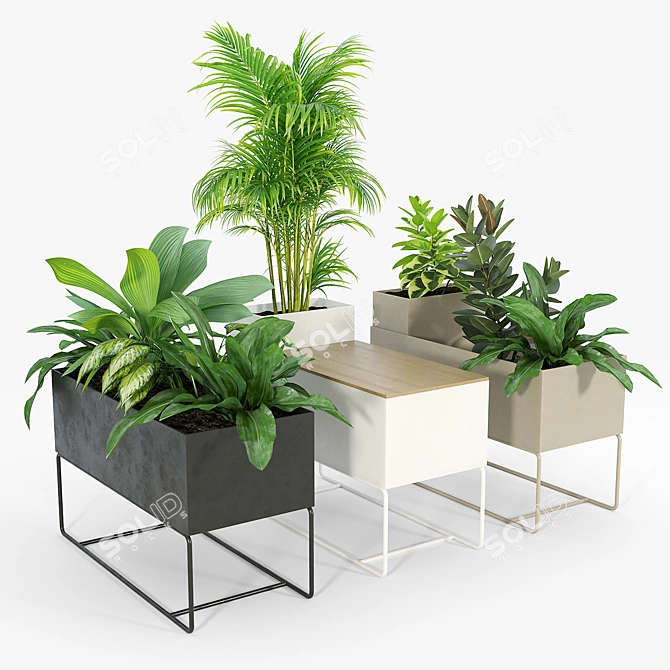 Premium Plant Box for Large Spaces 3D model image 1