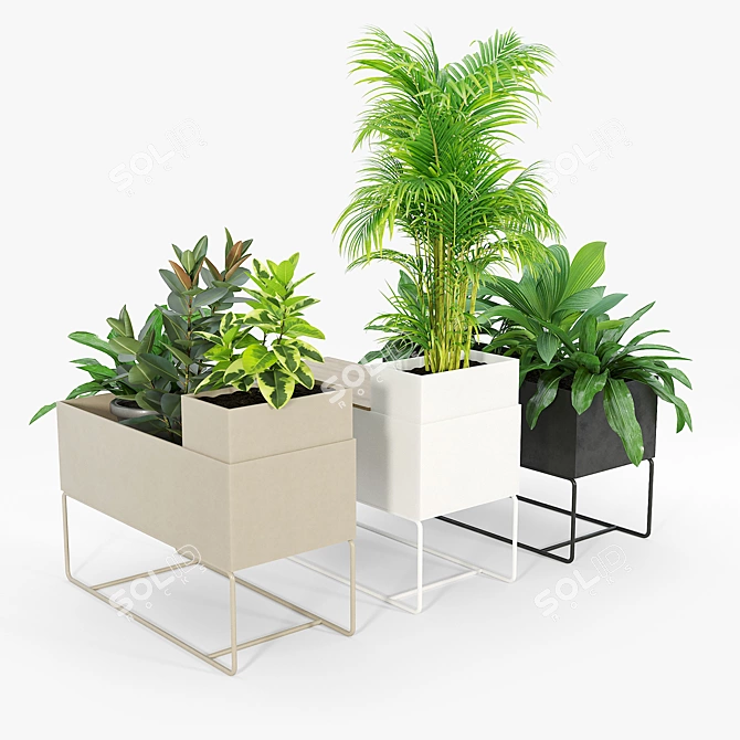 Premium Plant Box for Large Spaces 3D model image 2