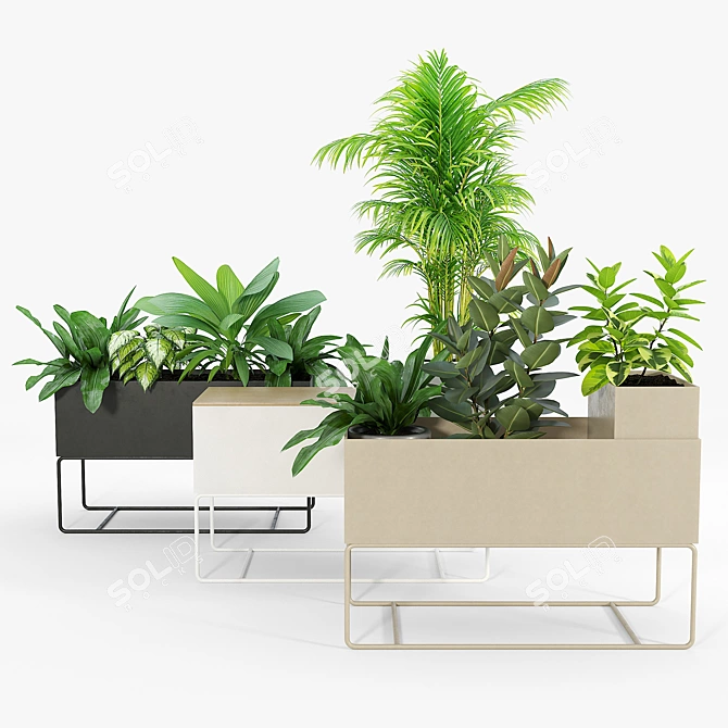 Premium Plant Box for Large Spaces 3D model image 4