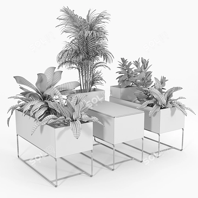Premium Plant Box for Large Spaces 3D model image 5