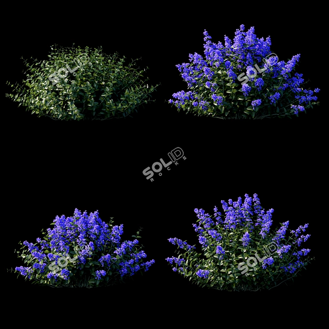 Nepeta Fassenii Catcher | Unique Garden Ornament 3D model image 3