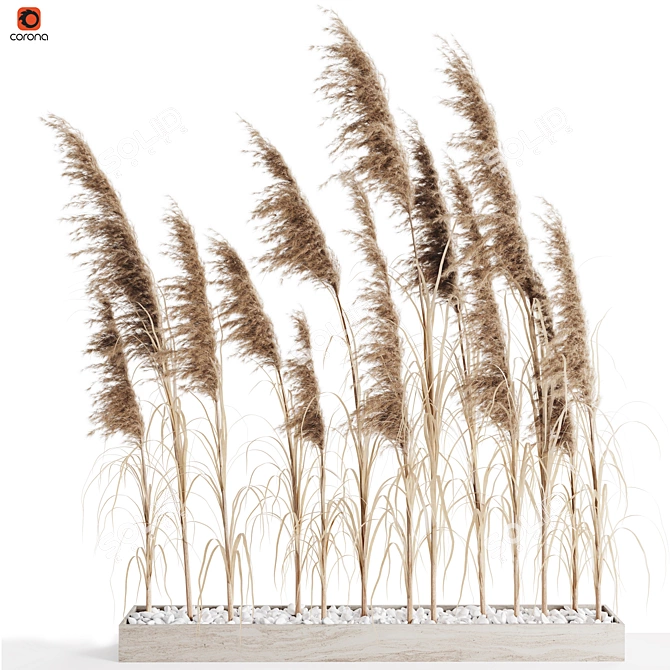 Exquisite Pampas Grass Bundle 3D model image 1