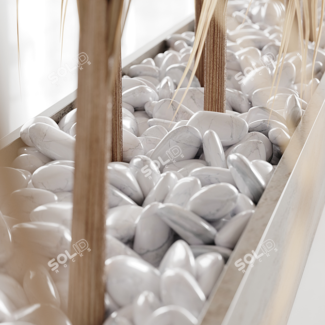 Exquisite Pampas Grass Bundle 3D model image 4