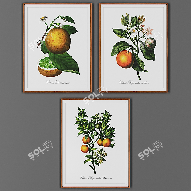 Vintage Wooden Frame Set (3 Pieces) 3D model image 1