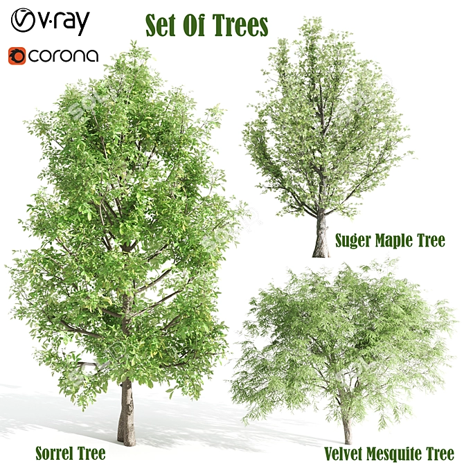 Polyglamorous Tree Trio 3D model image 1