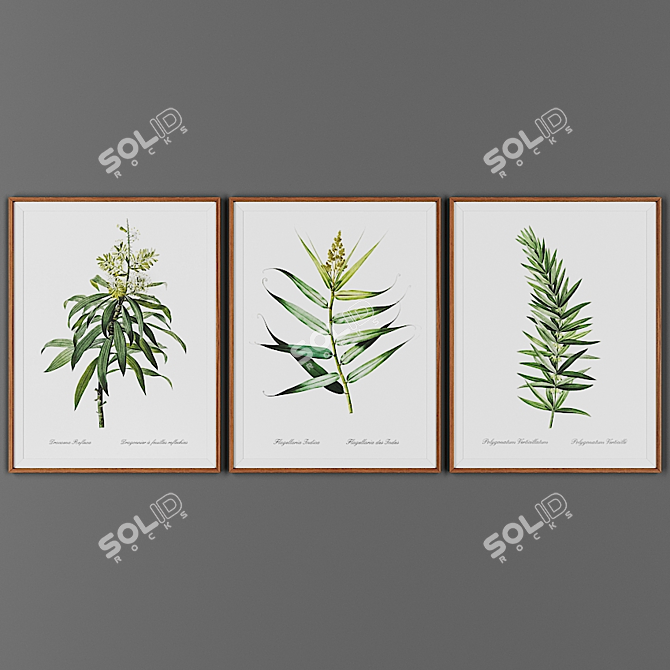 Wooden Framed Picture Collection 3D model image 1