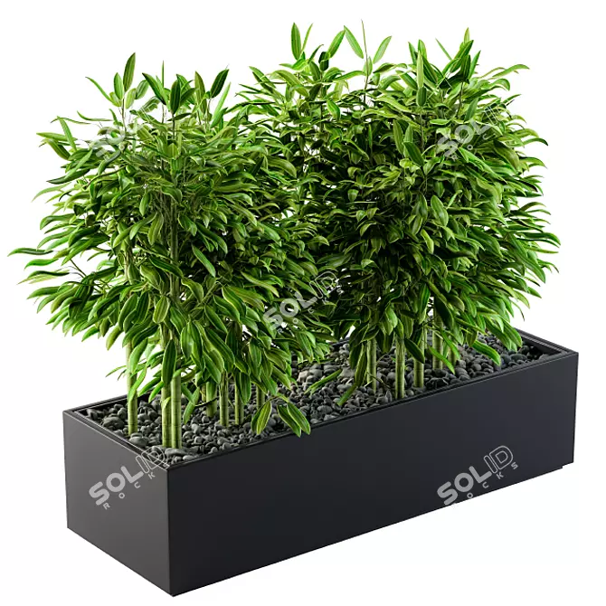 Lush Green Bamboo Set02 3D model image 1