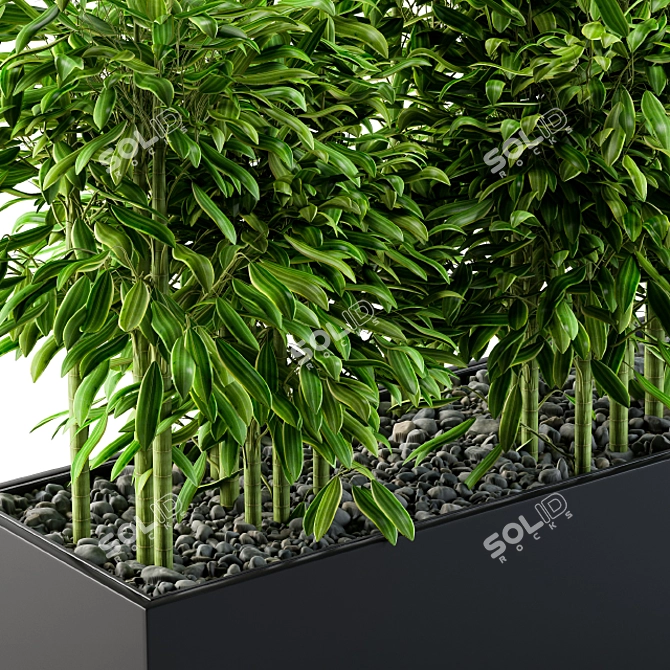 Lush Green Bamboo Set02 3D model image 3