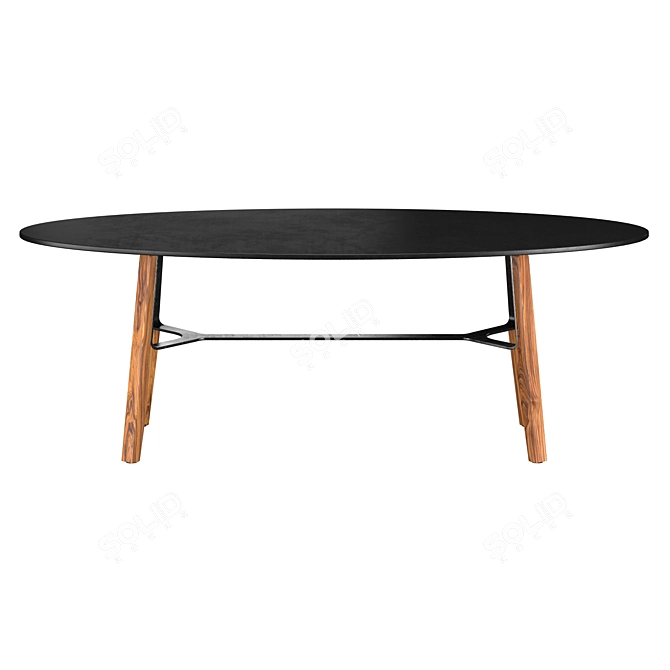 Modern Oval Coffee Table - Liu CT 3D model image 4