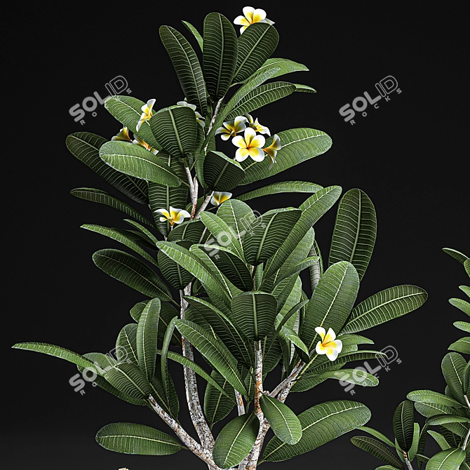 Tropical Plant Paradise 3D model image 2