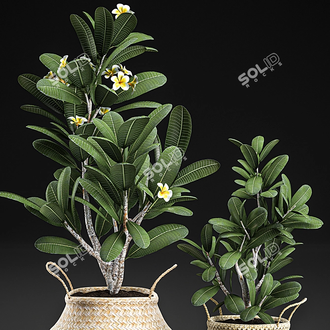 Tropical Plant Paradise 3D model image 4