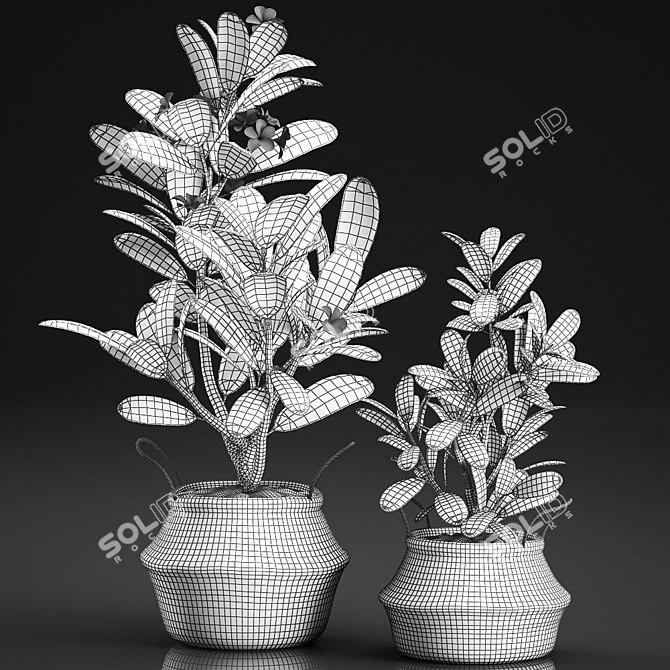 Tropical Plant Paradise 3D model image 5