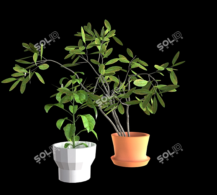 Green Oasis: Kitchen Indoor Plant 3D model image 1