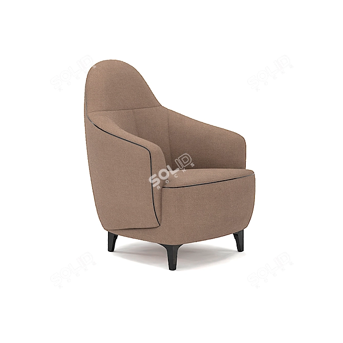 Tango Belgian Armchair: Elegant and Modern 3D model image 2