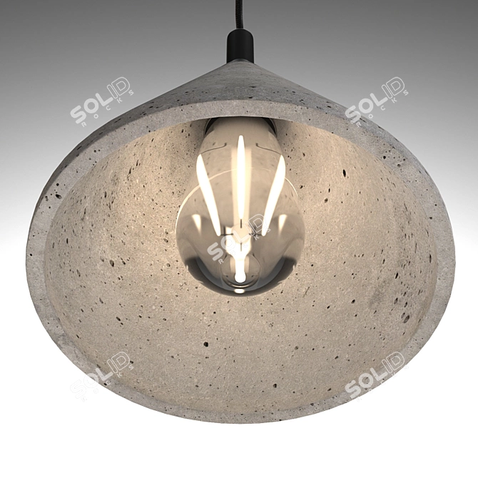 Bentu Design Zhong Pendant + LED - Black & Aluminum. 3D model image 3