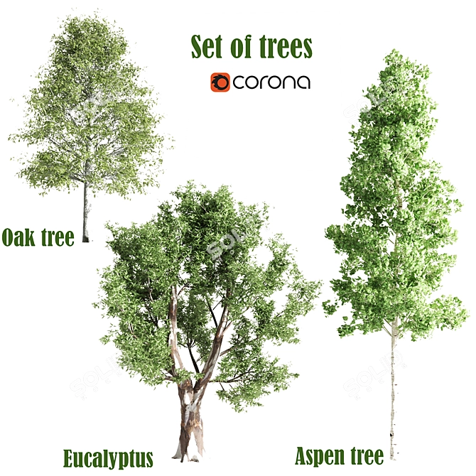 Diverse Tree Set | Oak, Eucalyptus, Aspen 3D model image 1