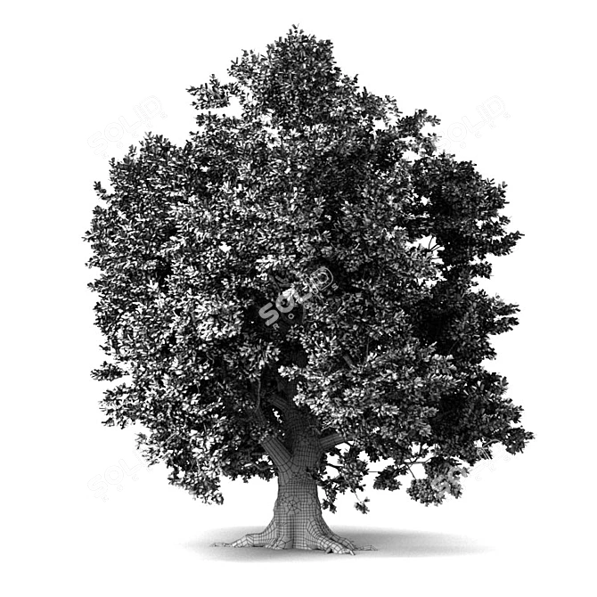  Majestic Oak Tree Sculpture 3D model image 5