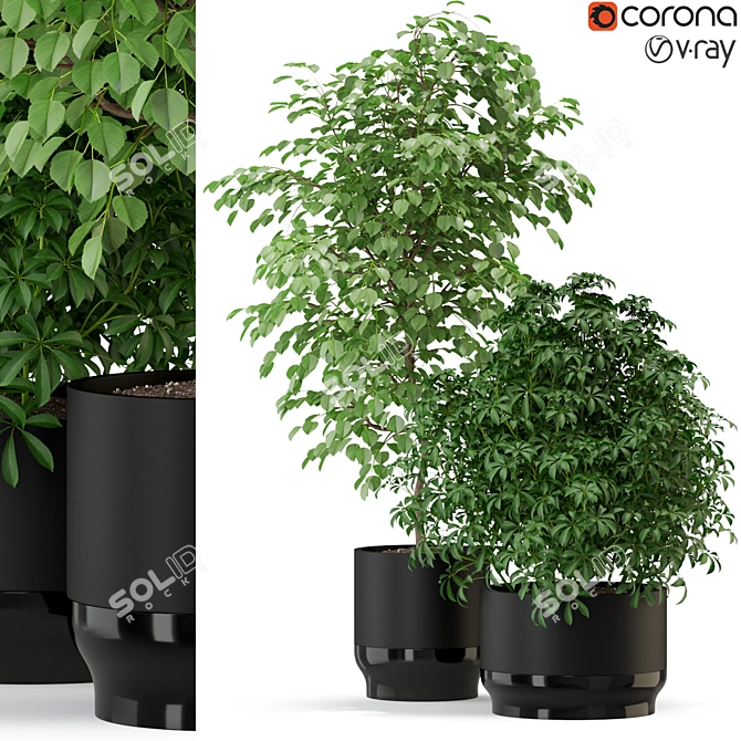 Green Oasis: Diverse Plant Collection 3D model image 1