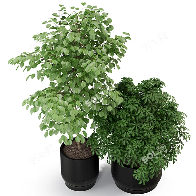 Green Oasis: Diverse Plant Collection 3D model image 2