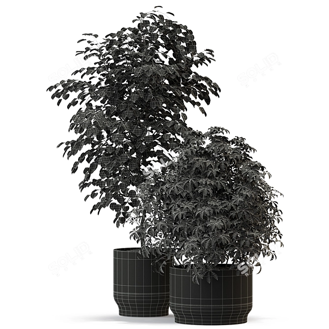 Green Oasis: Diverse Plant Collection 3D model image 3