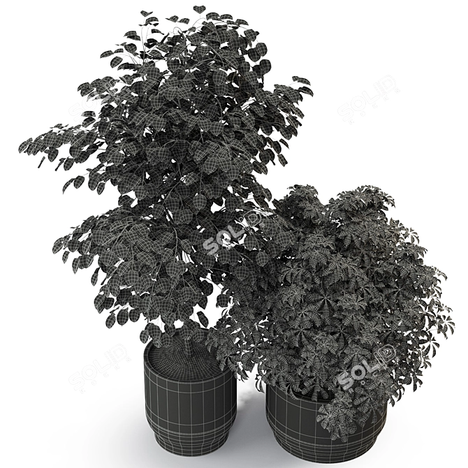 Green Oasis: Diverse Plant Collection 3D model image 4