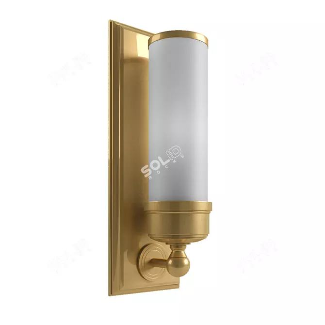 Elegant Brass Matt Glass Wall Sconce 3D model image 1