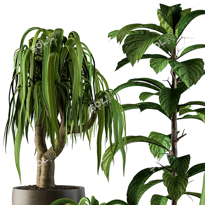 42-Piece Hanging Indoor Plants Set 3D model image 3