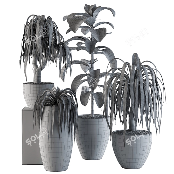 42-Piece Hanging Indoor Plants Set 3D model image 5