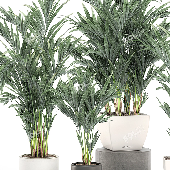 Tropical Palm Collection in White Pots 3D model image 8