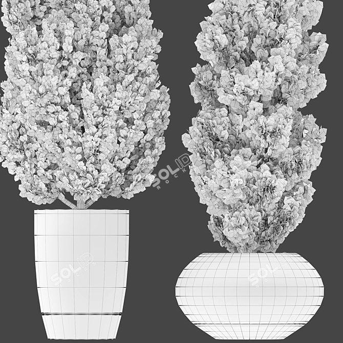 Pristine Pine Duo in Potted Perfection 3D model image 3