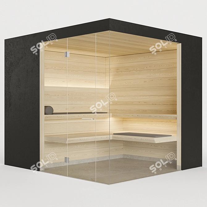 Electric Hidden Heater Sauna 3D model image 1